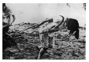 People were worked much harder in the Leap; a girl pulling a cart.